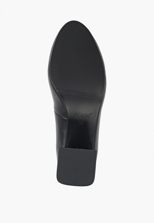 фото Туфли ascalini