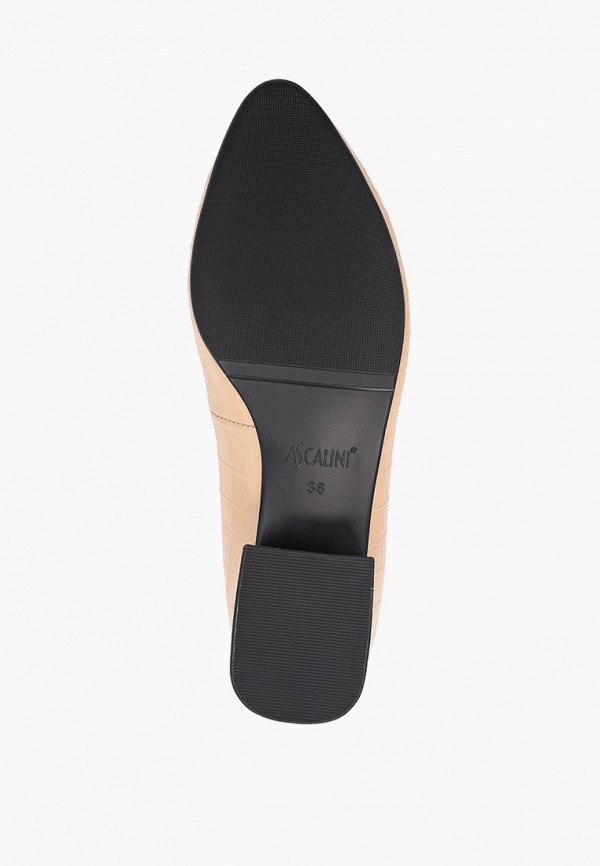 фото Туфли ascalini