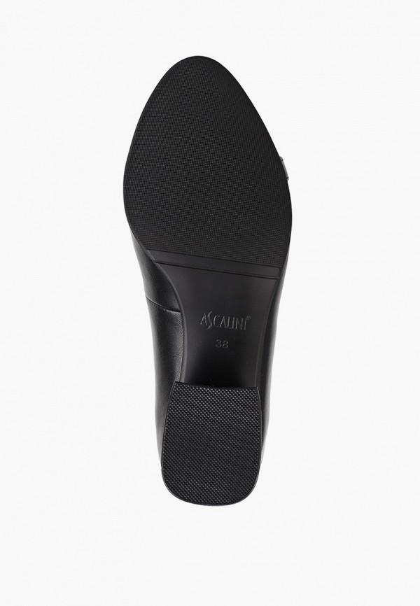 фото Туфли ascalini