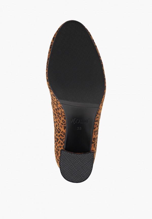 фото Туфли ascalini