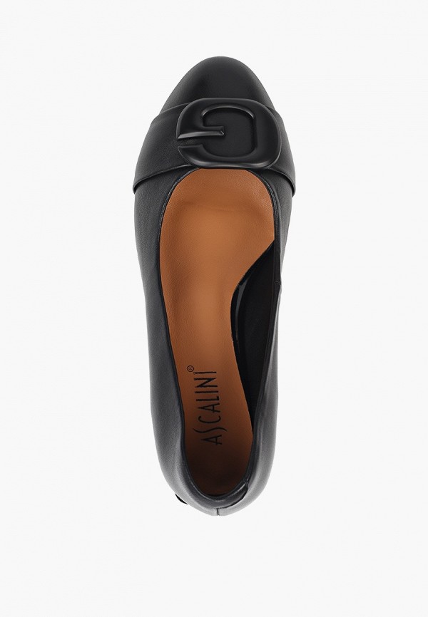 фото Туфли ascalini