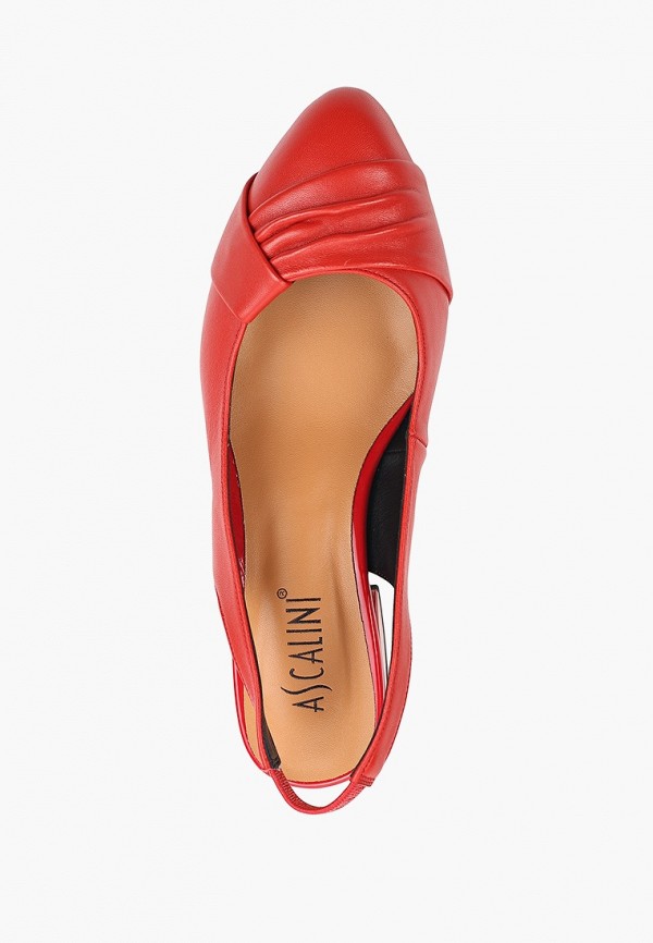 фото Туфли ascalini