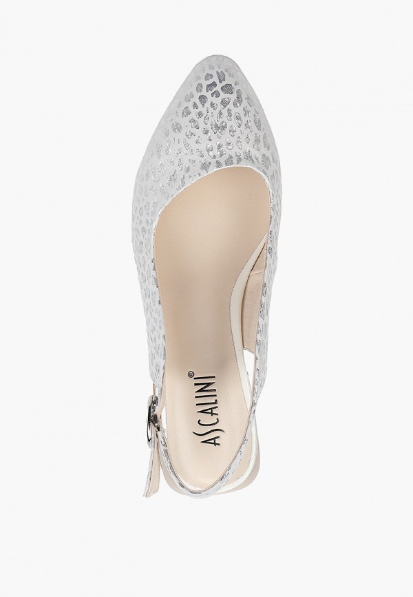 фото Туфли ascalini