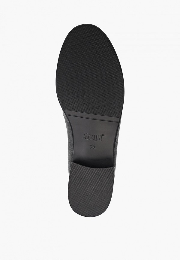 фото Туфли ascalini