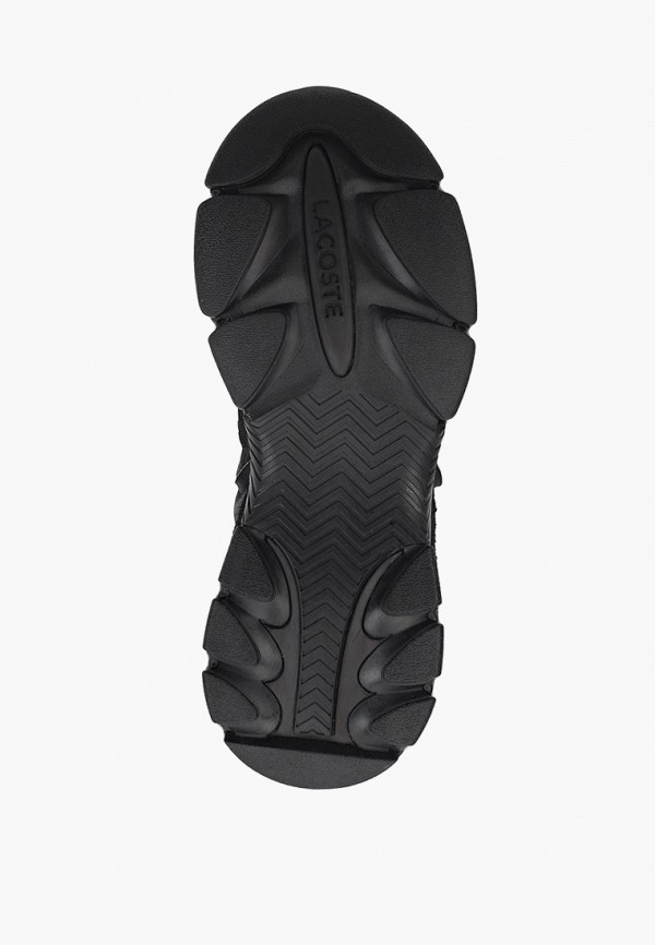 фото Кроссовки lacoste