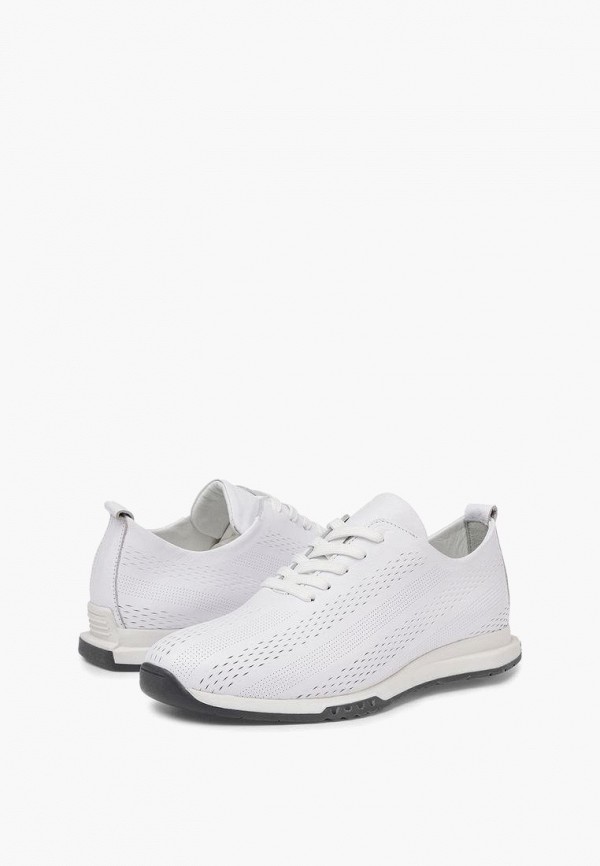 фото Кроссовки alessio nesca