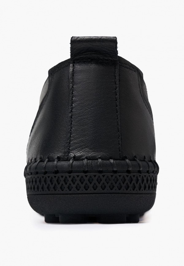 фото Кеды alessio nesca