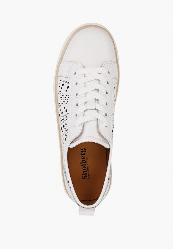 фото Кеды shoiberg