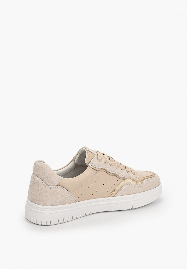 фото Кеды shoiberg