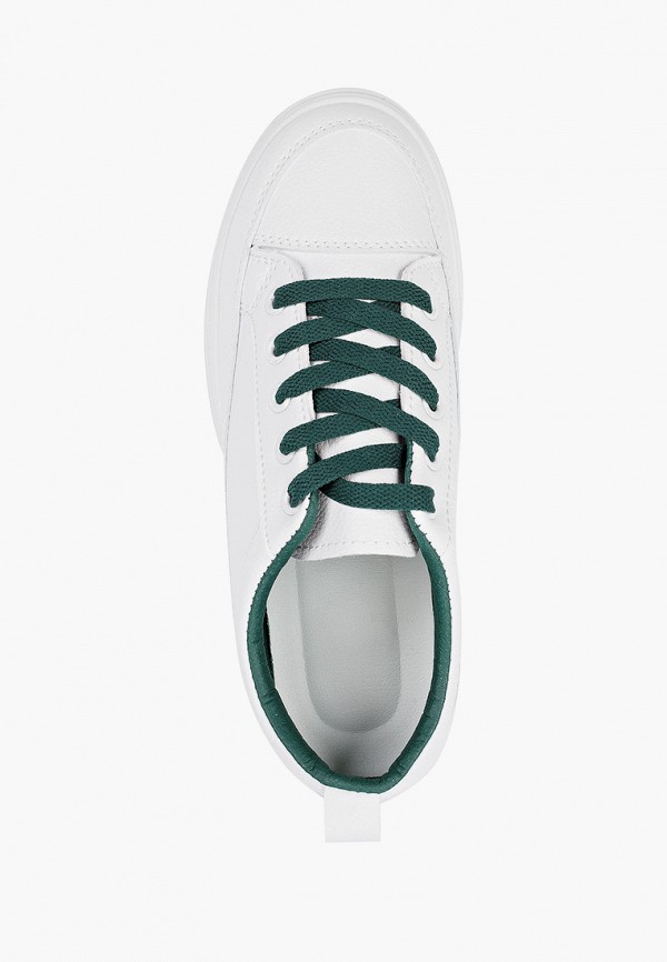 фото Кеды dino albat