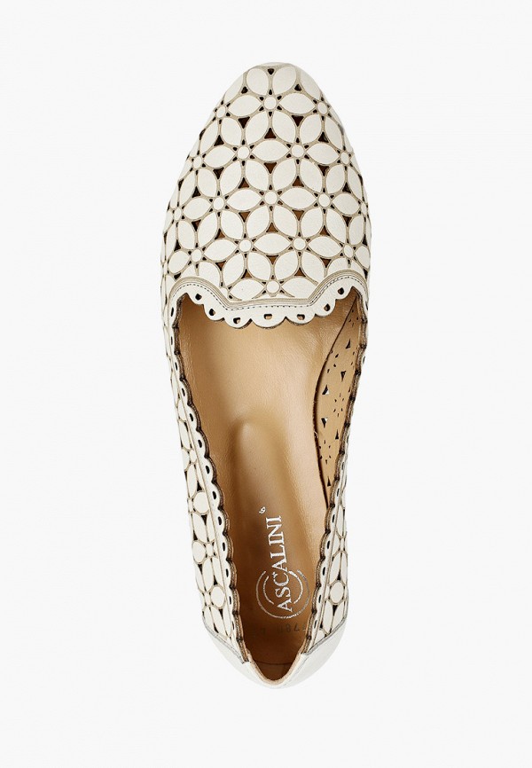 фото Туфли ascalini