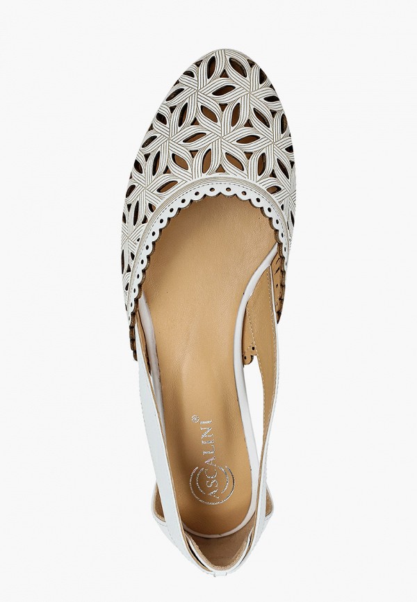 фото Туфли ascalini