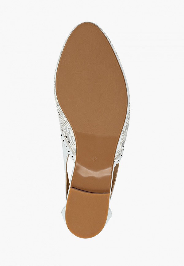 фото Туфли ascalini