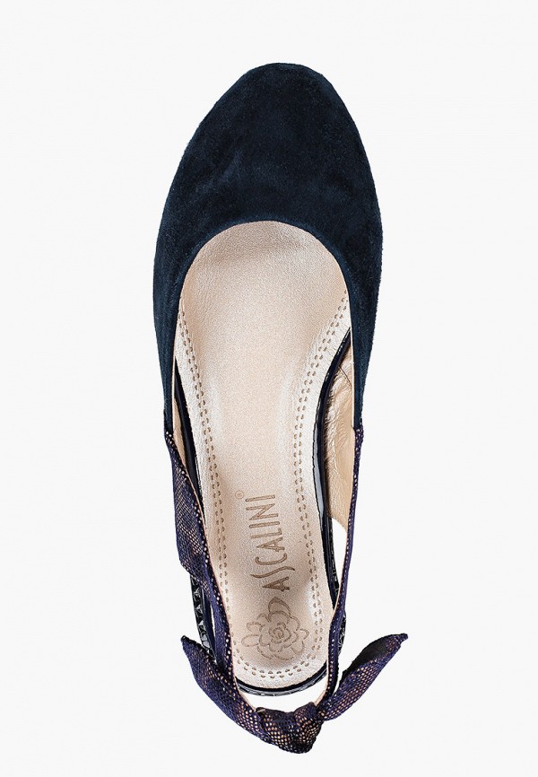 фото Туфли ascalini