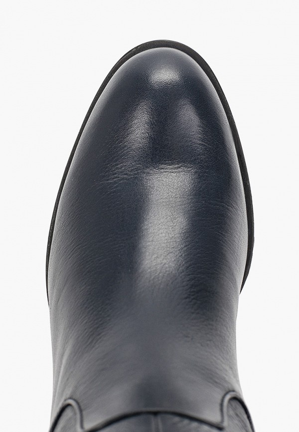 фото Ботфорты enzo logana