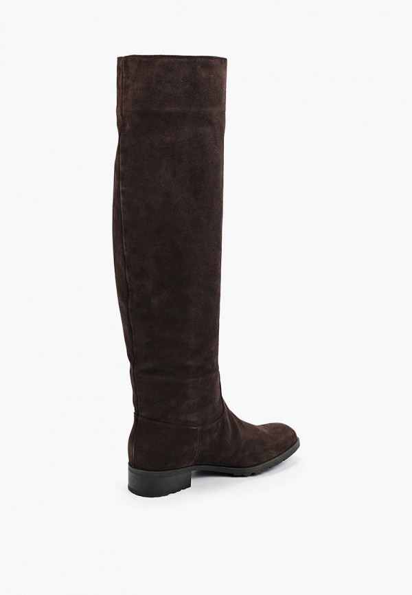 фото Ботфорты enzo logana