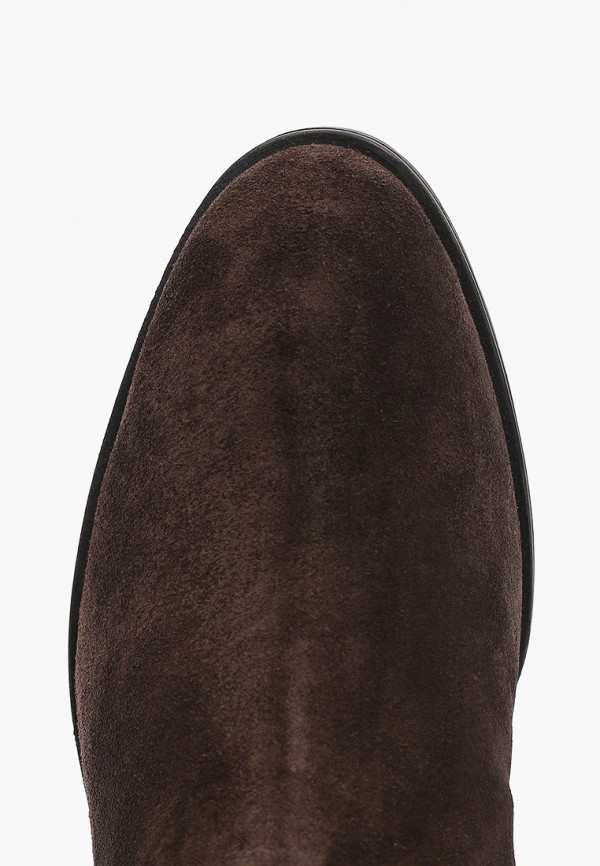 фото Ботфорты enzo logana