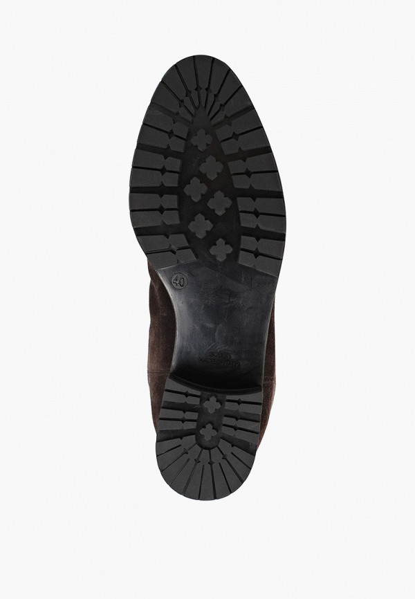 фото Ботфорты enzo logana