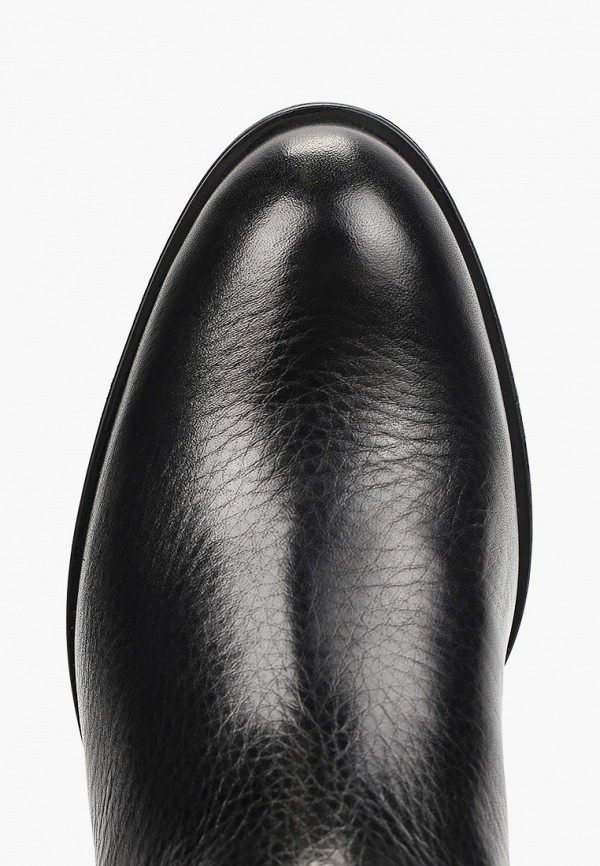 фото Ботфорты enzo logana