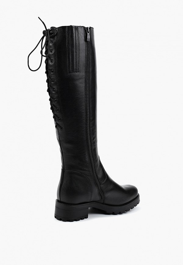 фото Сапоги francesco donni