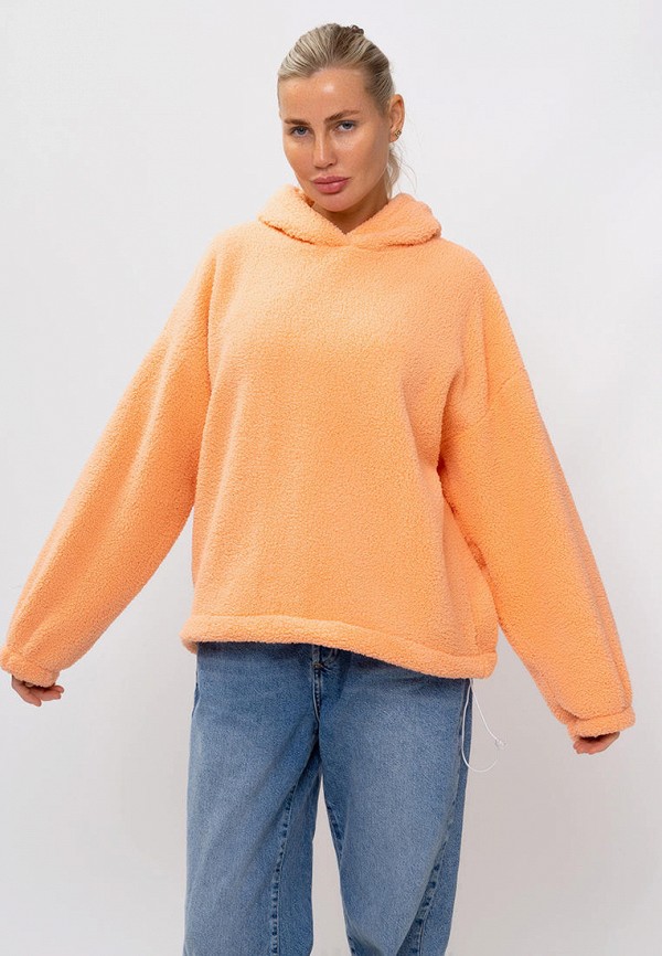 Худи Ptaxx 1652₽