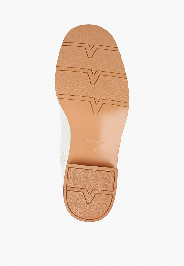 фото Сапоги ivolga