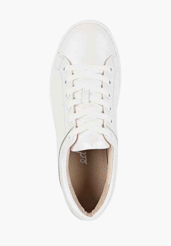 фото Кеды ed'art