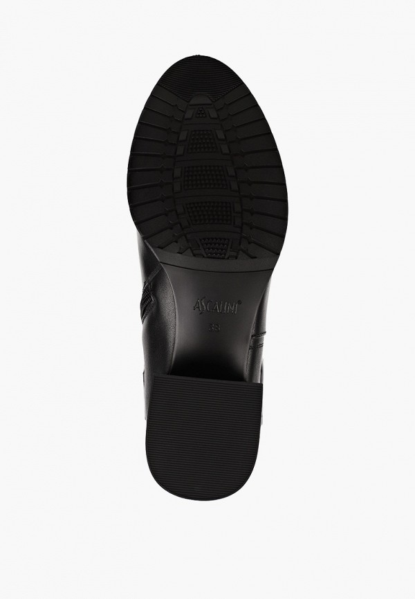 фото Сапоги ascalini