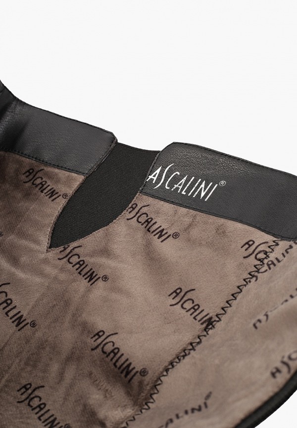 фото Сапоги ascalini