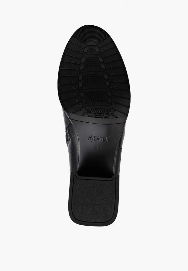 фото Сапоги ascalini
