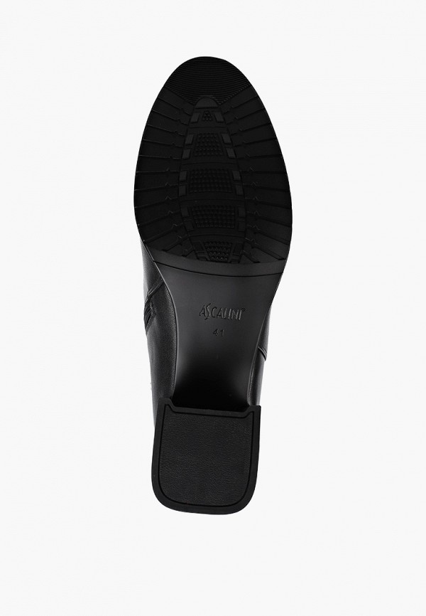 фото Сапоги ascalini