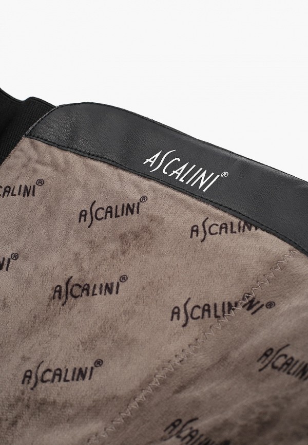 фото Сапоги ascalini