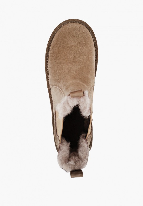 фото Ботинки ascalini