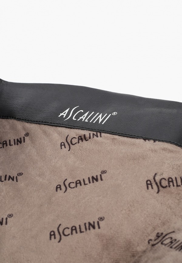 фото Сапоги ascalini