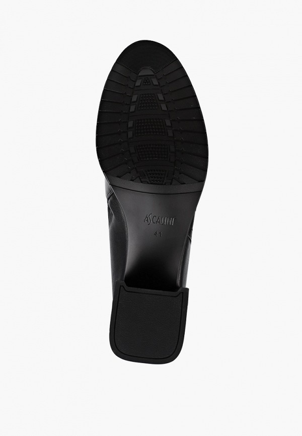 фото Сапоги ascalini