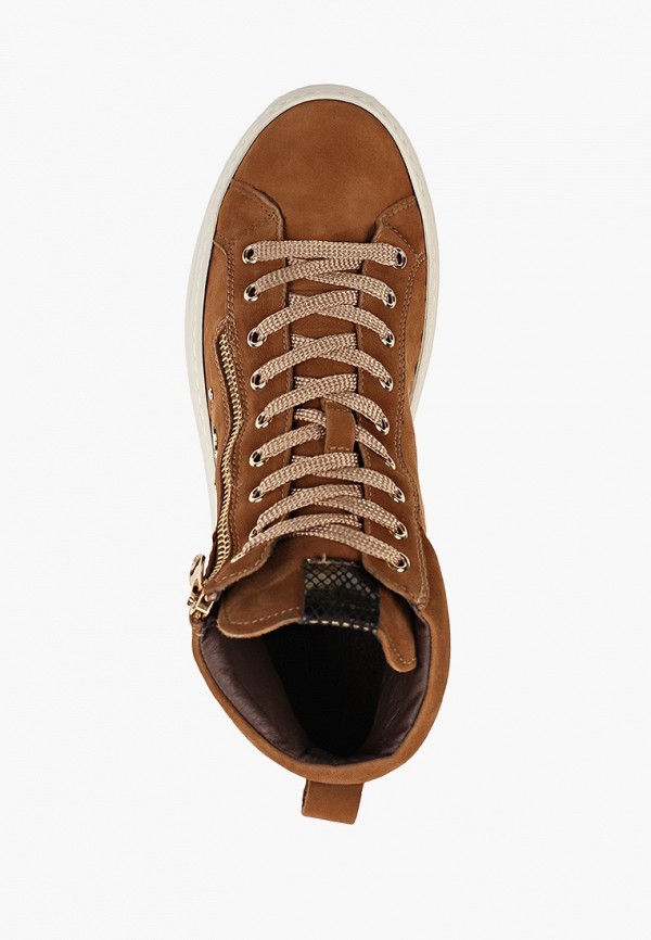 фото Кеды nero giardini