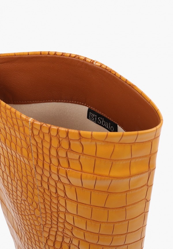 фото Сапоги sbalo