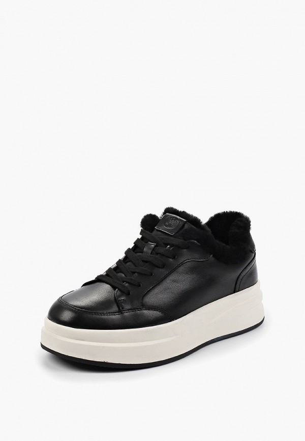 фото Кеды salamander