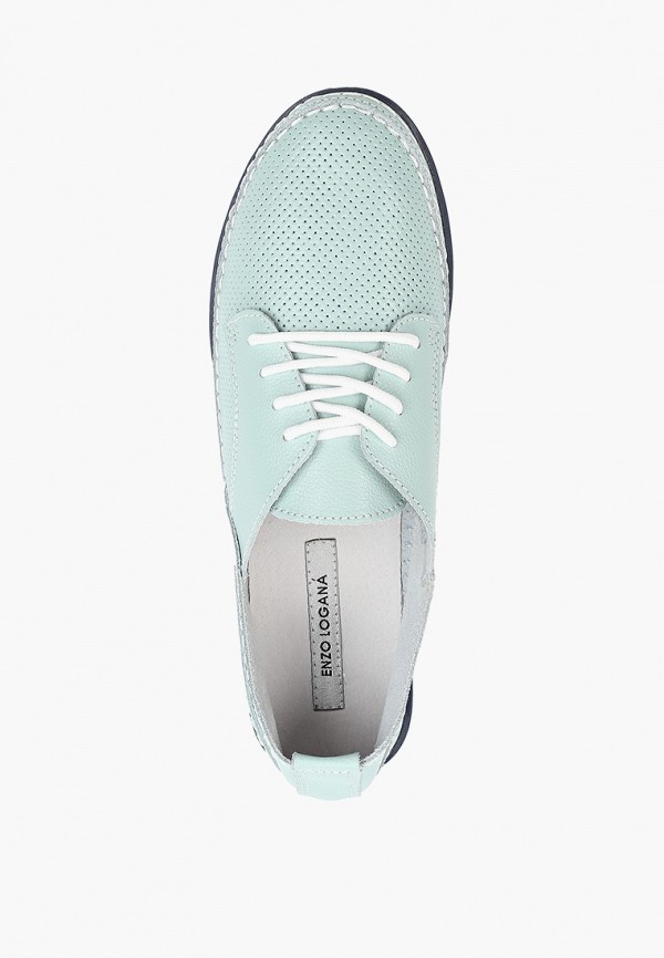 фото Кеды enzo logana