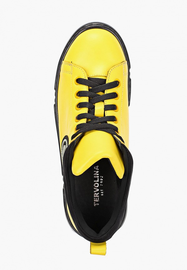 фото Кеды tervolina