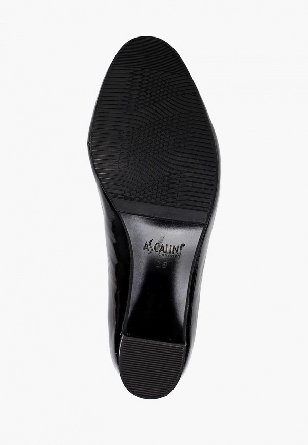 фото Туфли ascalini