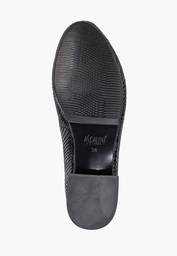 фото Туфли ascalini