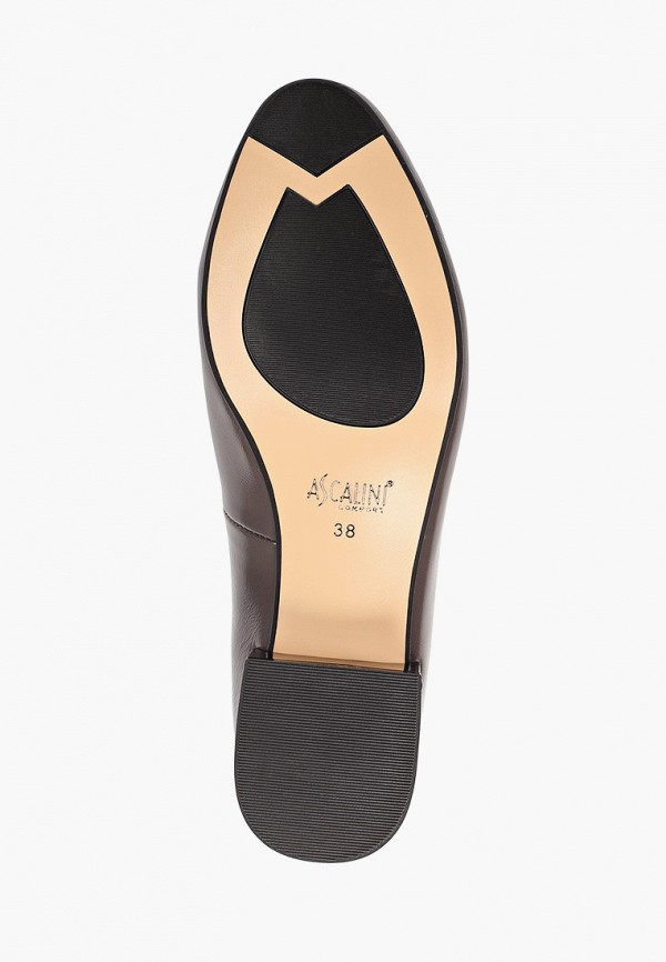 фото Туфли ascalini