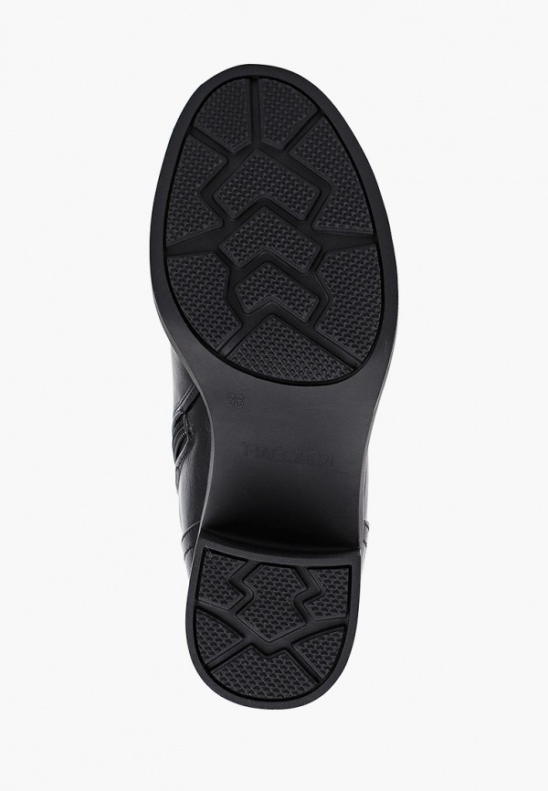 фото Сапоги t.taccardi