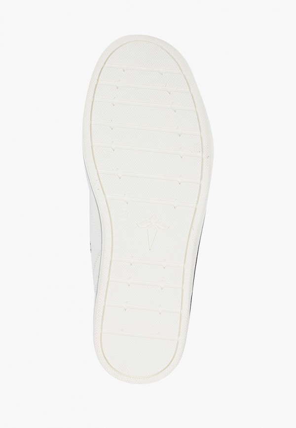 фото Кеды t.taccardi