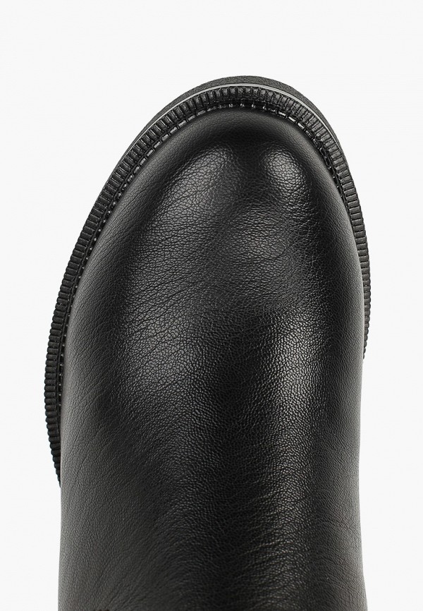 фото Сапоги t.taccardi