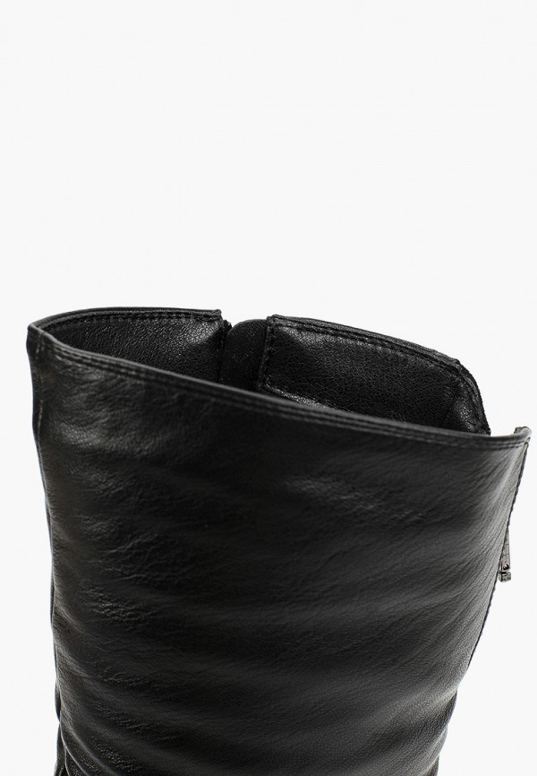 фото Сапоги t.taccardi