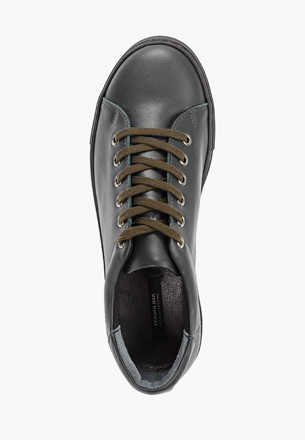 фото Кеды tervolina