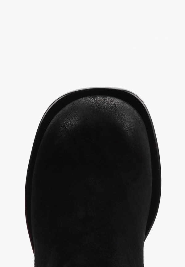 фото Ботфорты graciana