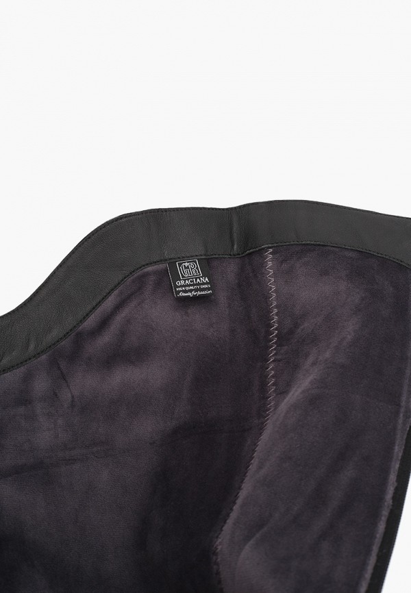 фото Ботфорты graciana